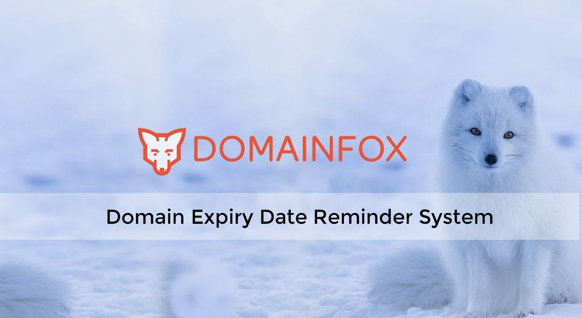 Only Lifetime Deals - Lifetime Deal to Domain Fox header